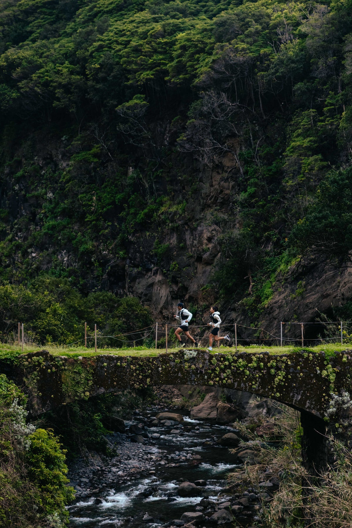 Trail